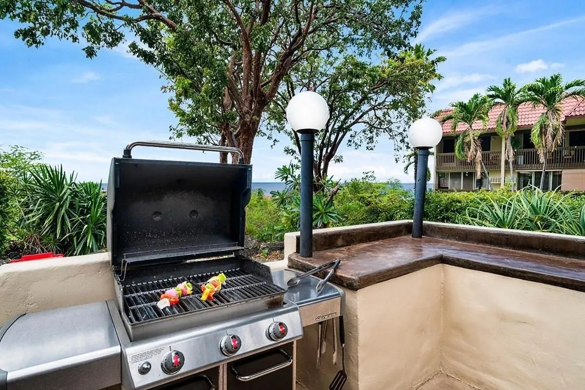 Oceanview 2 Bedroom - Walk To Downtown Kailua-Kona Apartamento