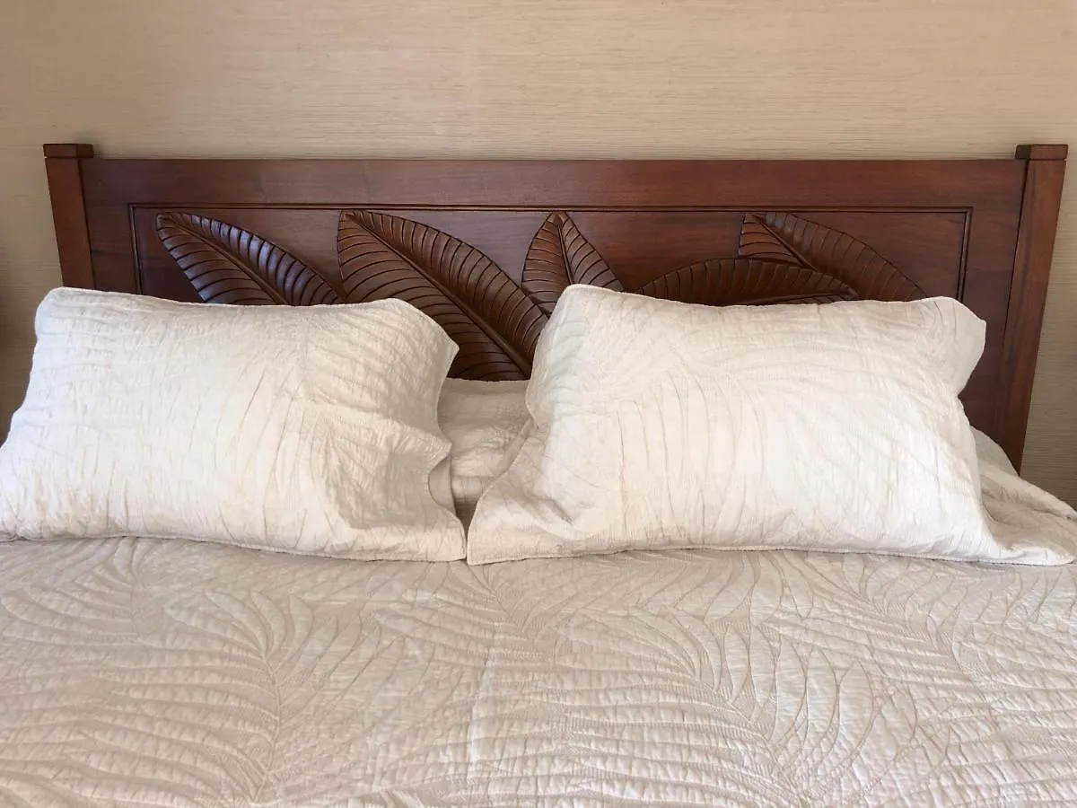 Lägenhet Oceanview 2 Bedroom - Walk To Downtown Kailua-Kona